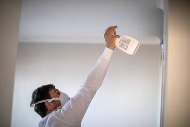 Best Emergency Mold Removal  in Thatcher, UT