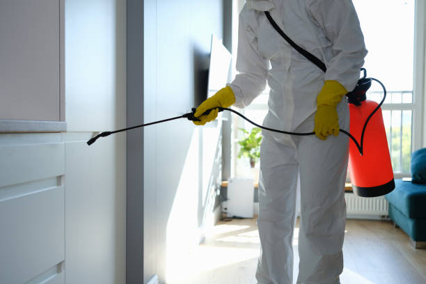 Office Mold Removal Services in Thatcher, UT